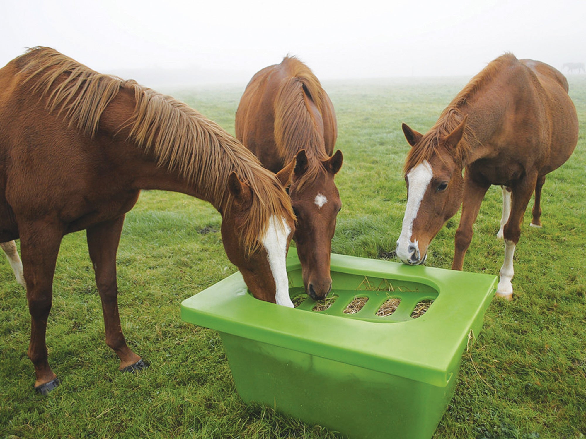 Hay Feeder - Hay Saver