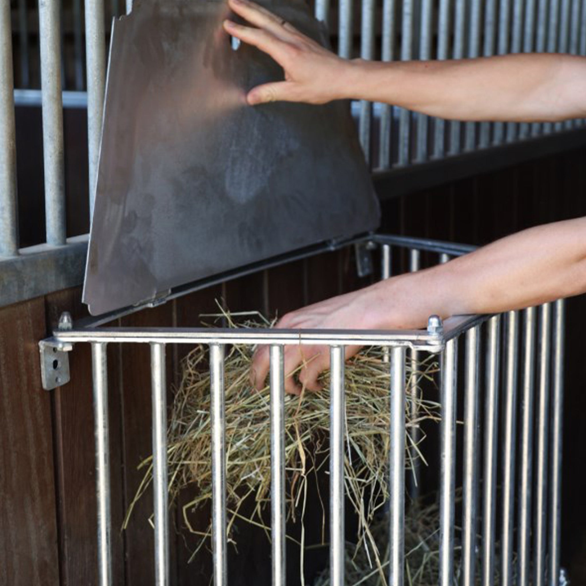 Wandraufe SlowFeed Plus