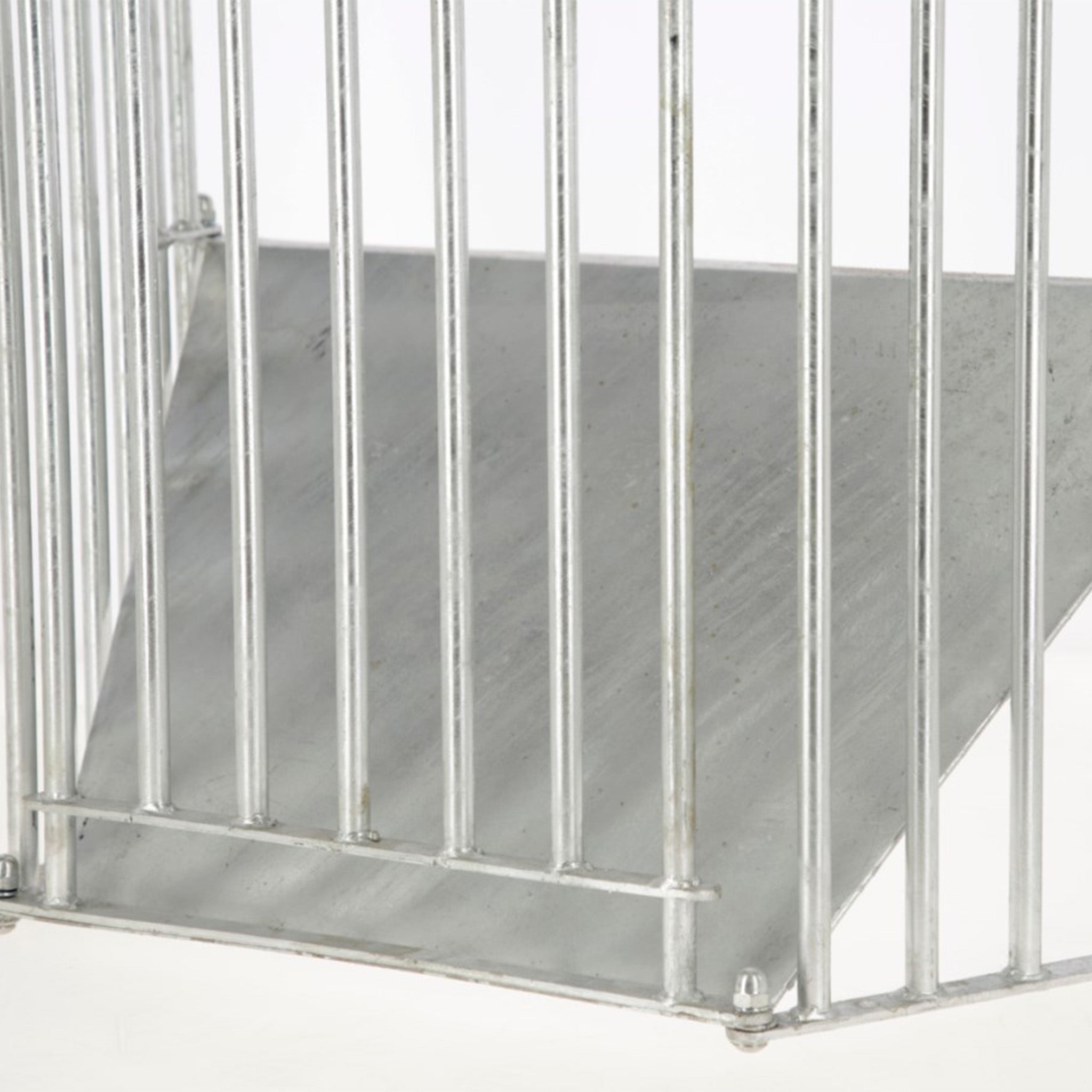 Wandraufe SlowFeed Plus