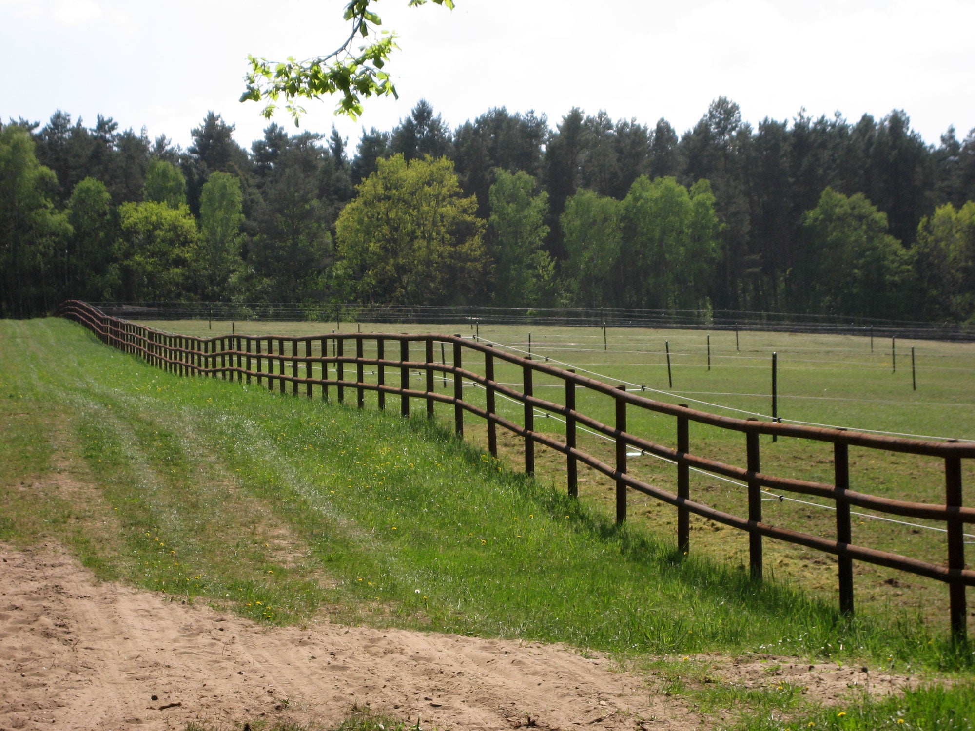 12cm Holzpfahl Kiefer KDI Salz Braun Eck-u.Torpfosten
