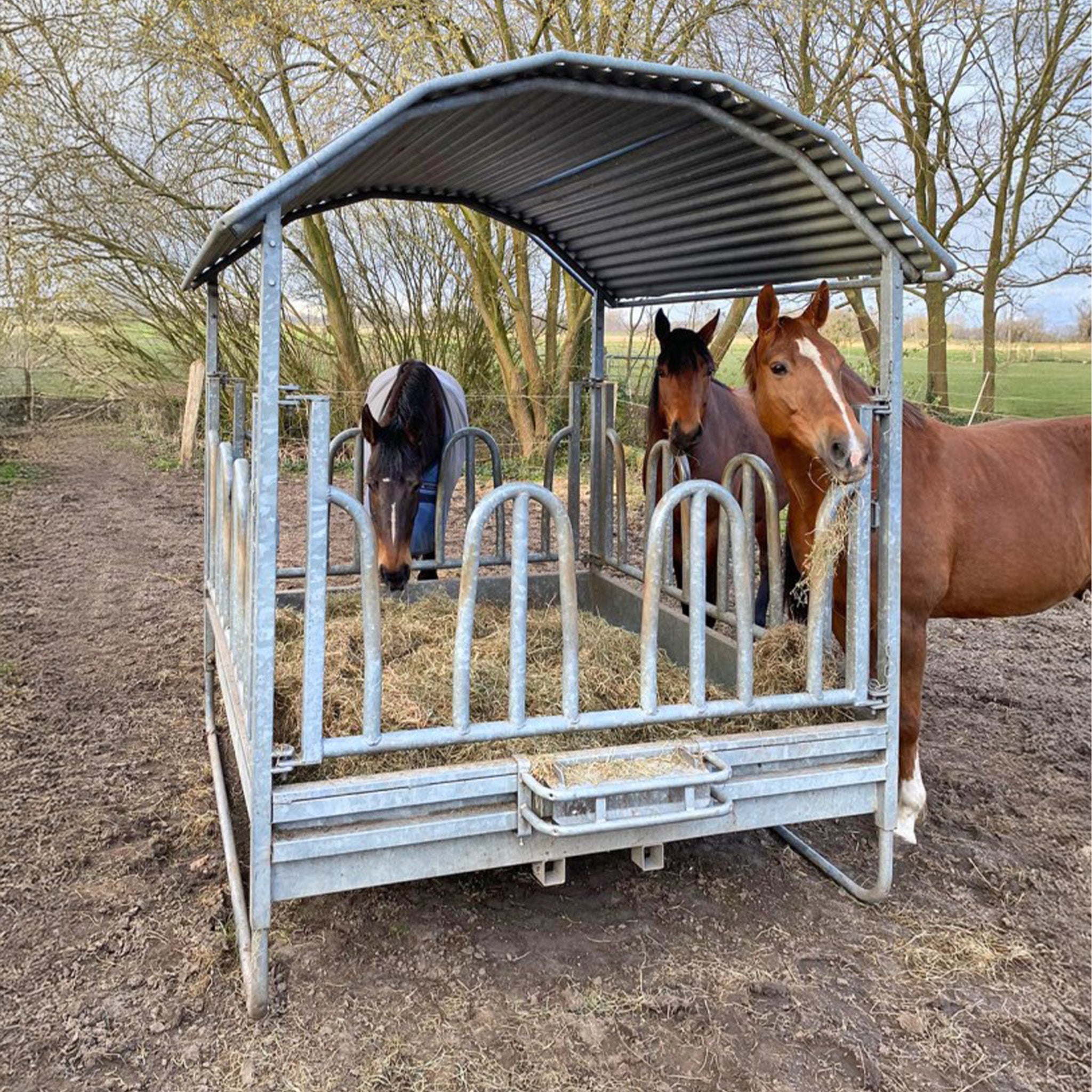 Palisadenfutterraufe 2x2m