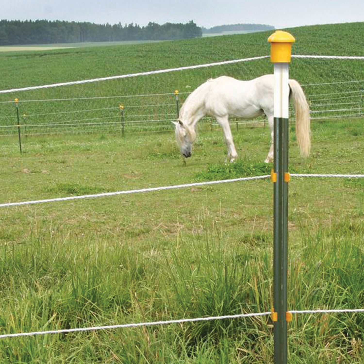 T-Post Pfosten 152cm