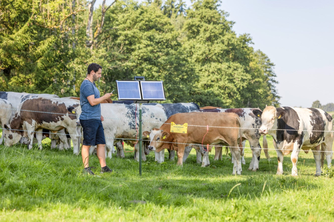 AKO Sun Power S 4000 smart