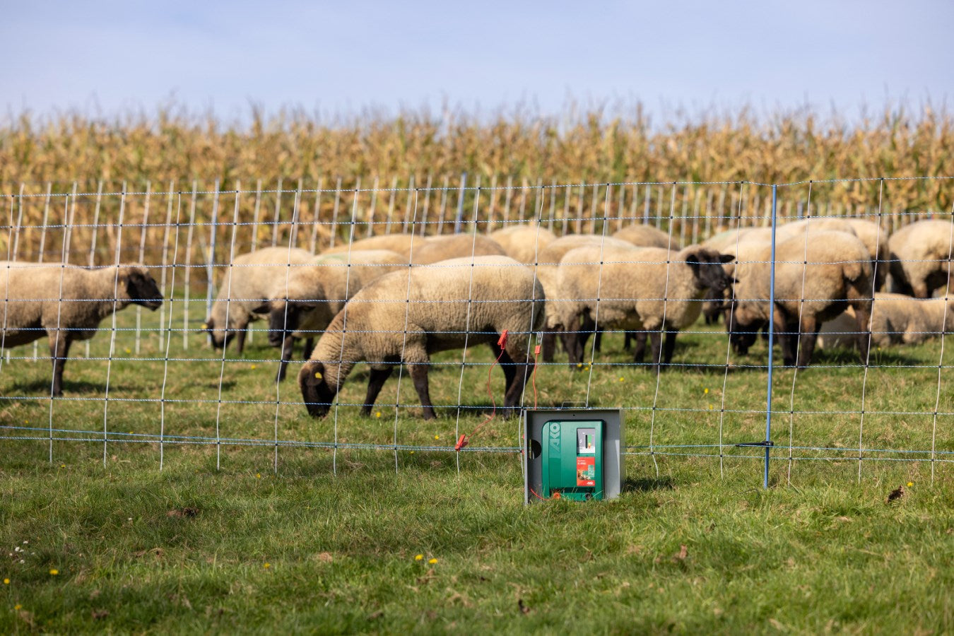 AKO Duo Power Xi 8000