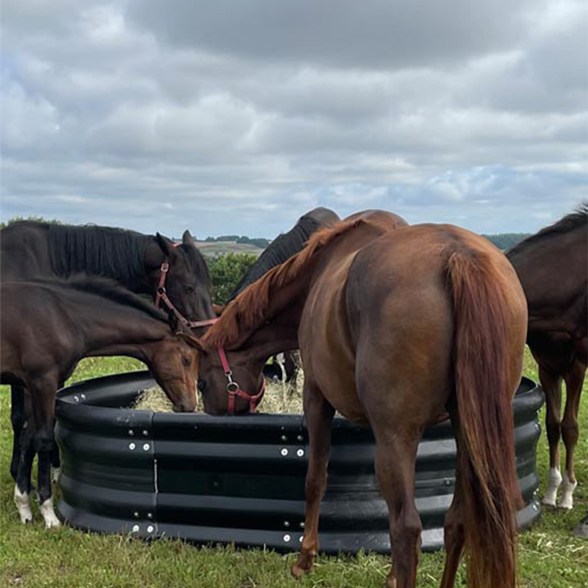 OK Plast Ovalraufe aus Kunststoff 280cm x 200cm