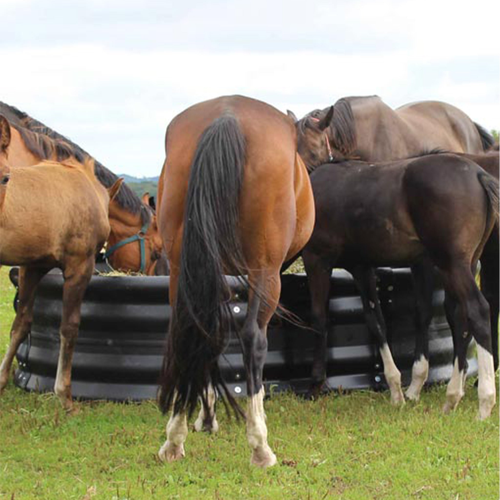 OK Plast Ovalraufe aus Kunststoff 280cm x 200cm