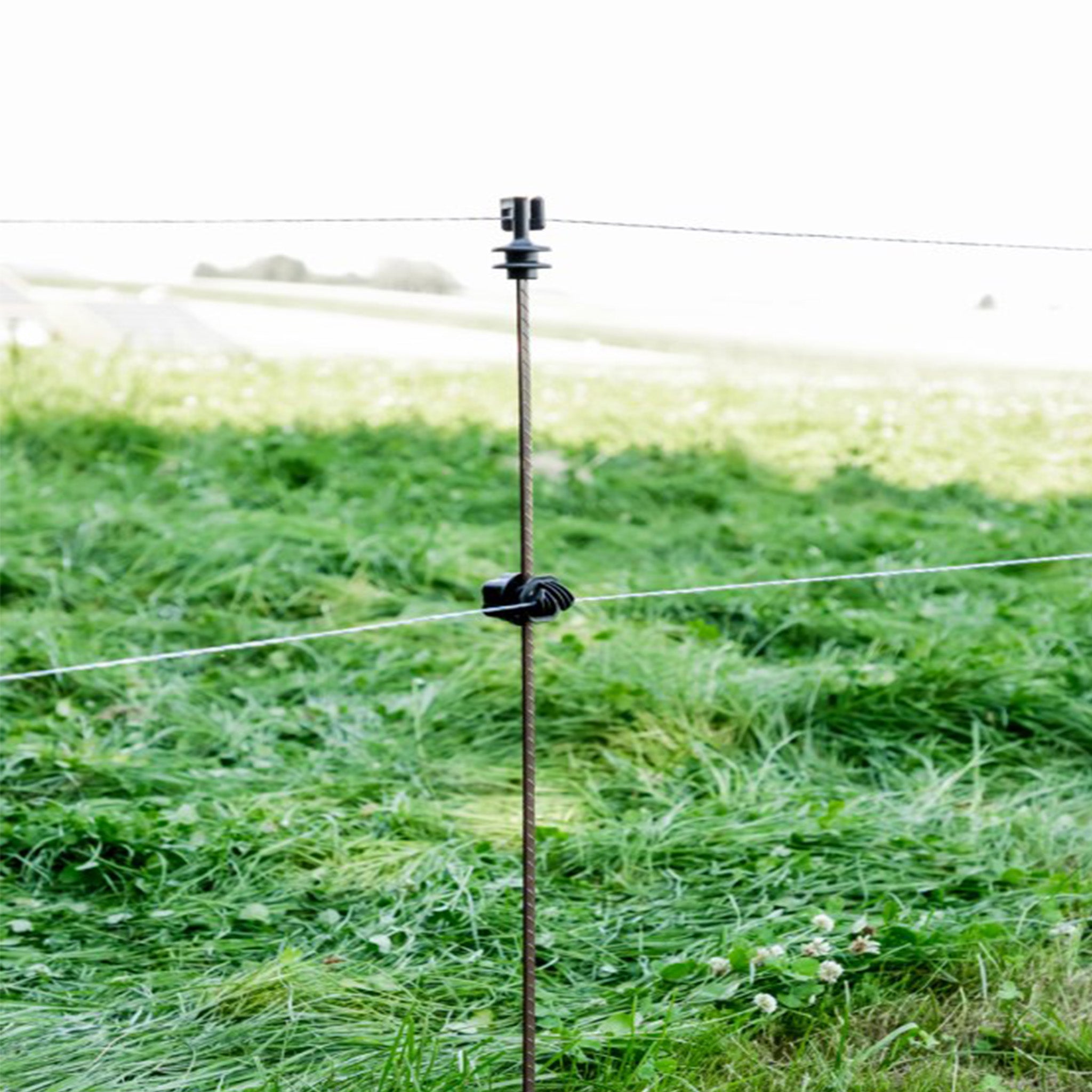 Ovalstahlpfahl mit Kopfisolator