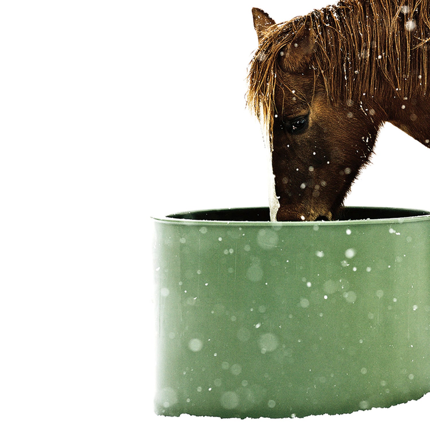 ThermoBar Tränke 250L