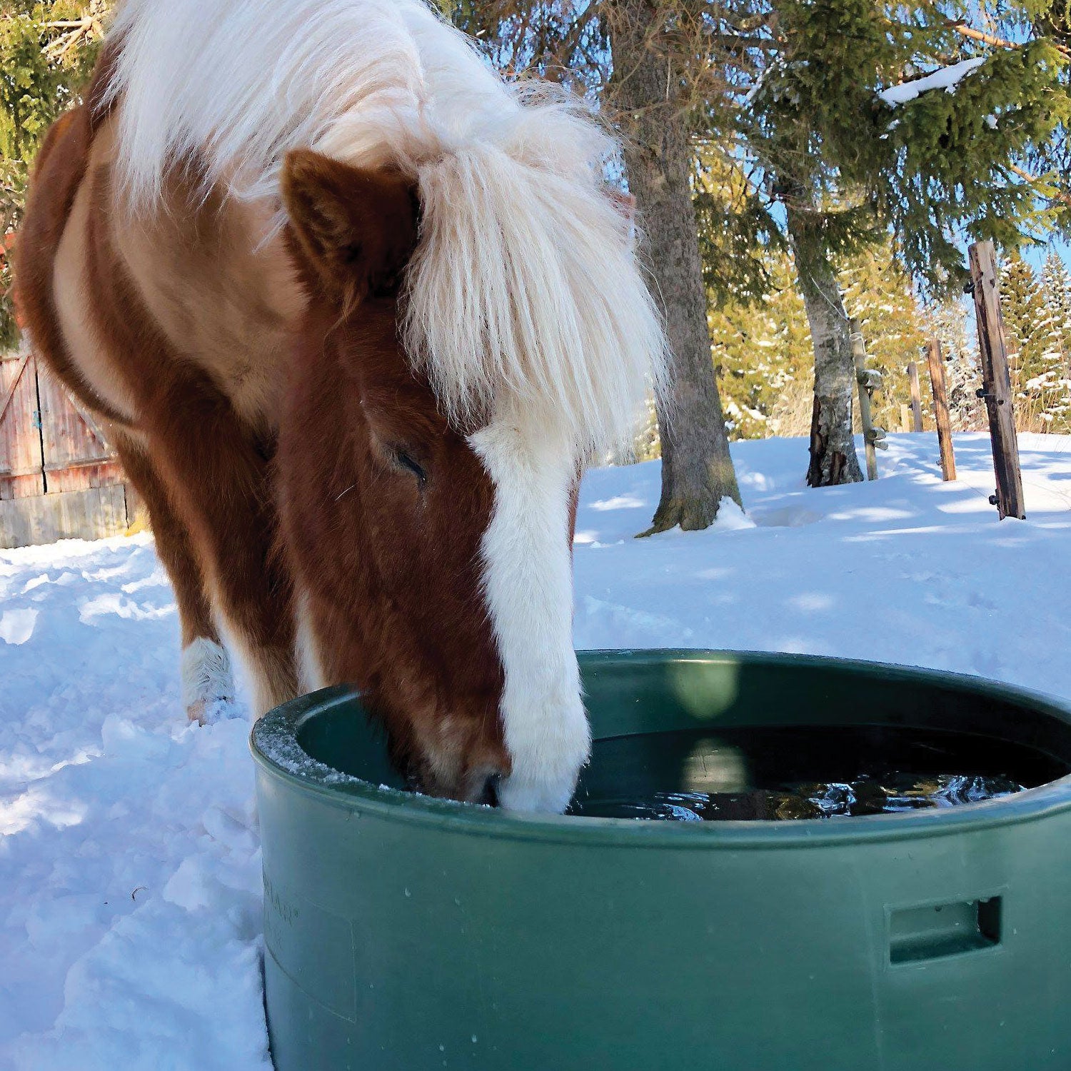 ThermoBar Tränke 80L