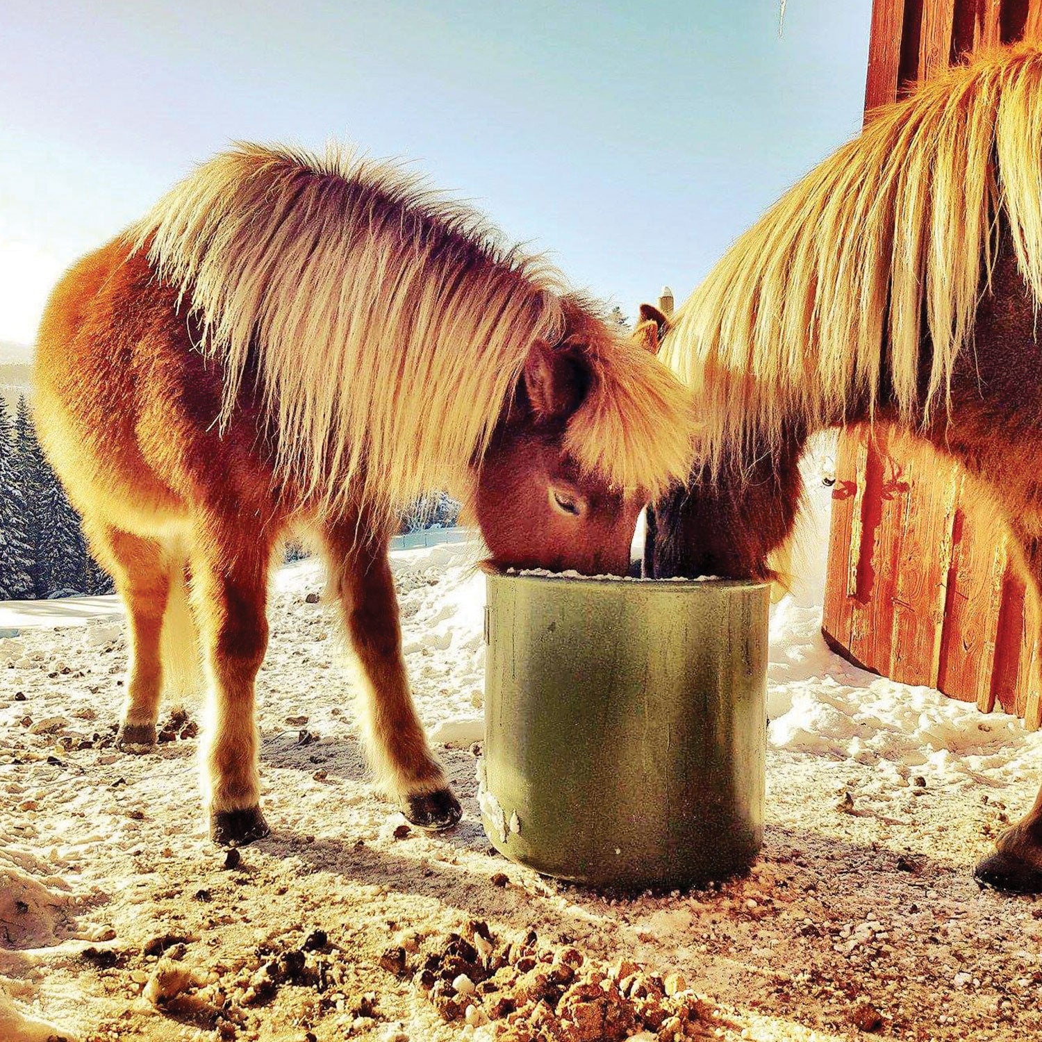 ThermoBar Tränke 80L