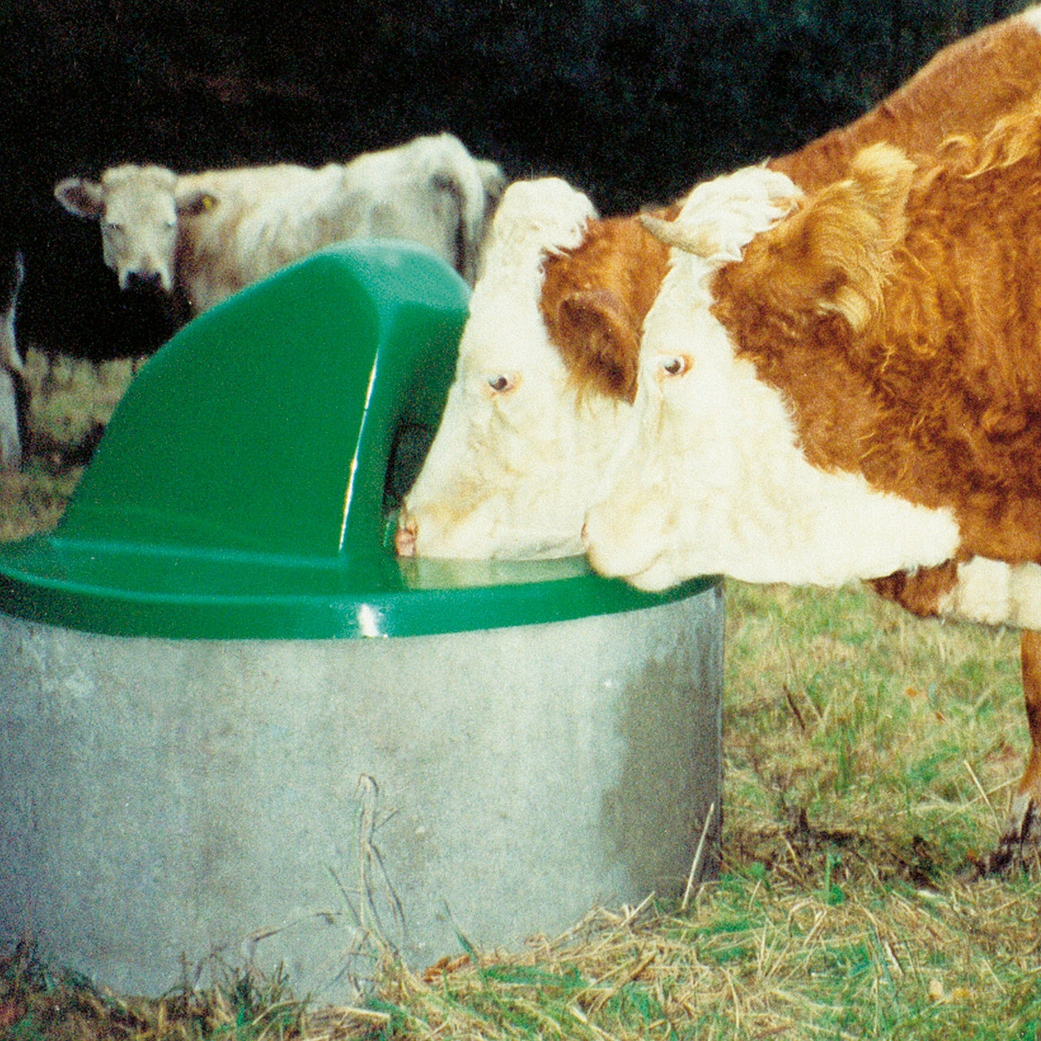 ThermoTop - das Original aus GfK