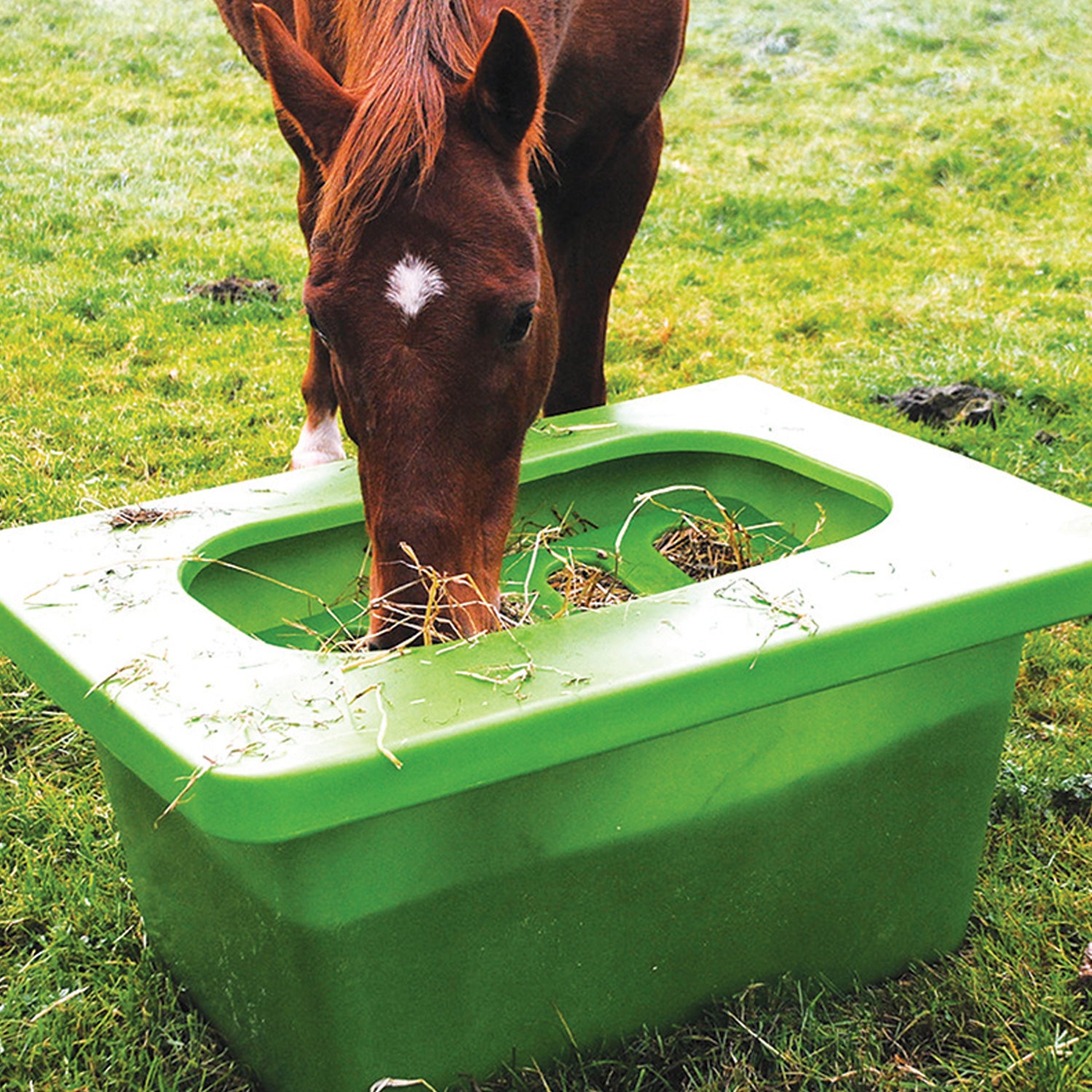 Hay Feeder - Hay Saver