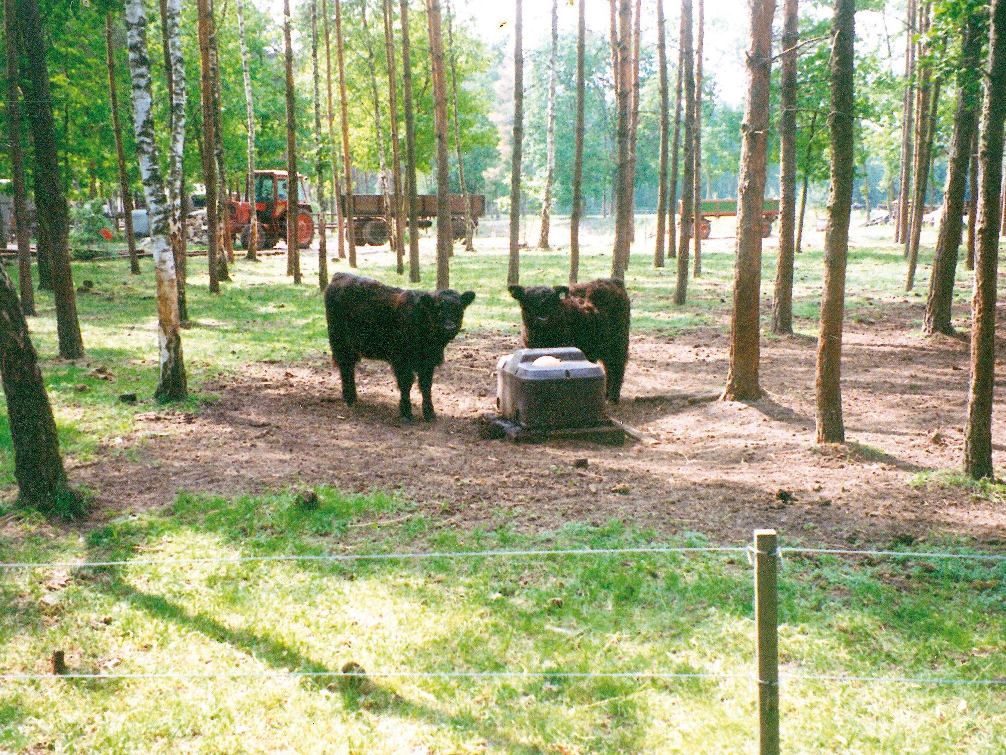 Balltränke Duo 2-Ball