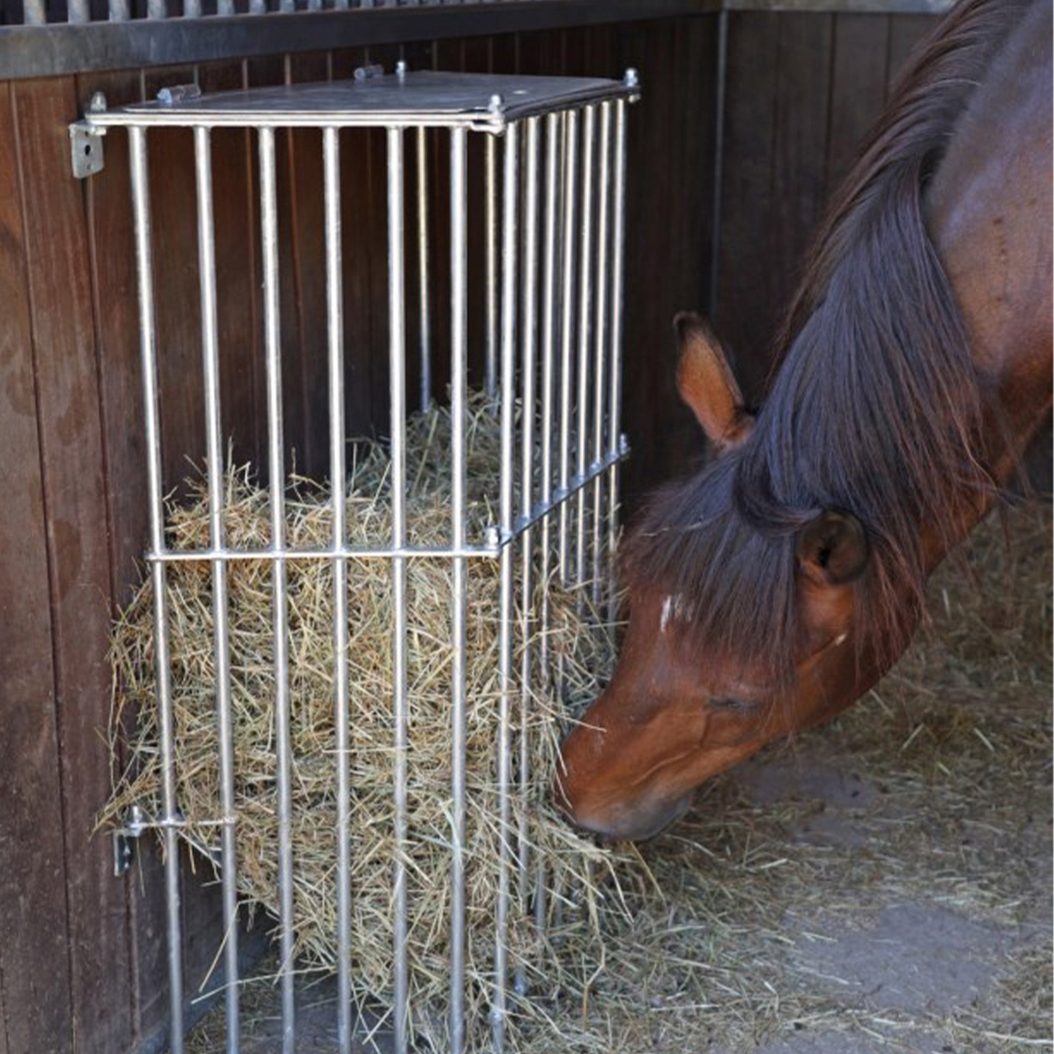 Wandraufe SlowFeed Plus