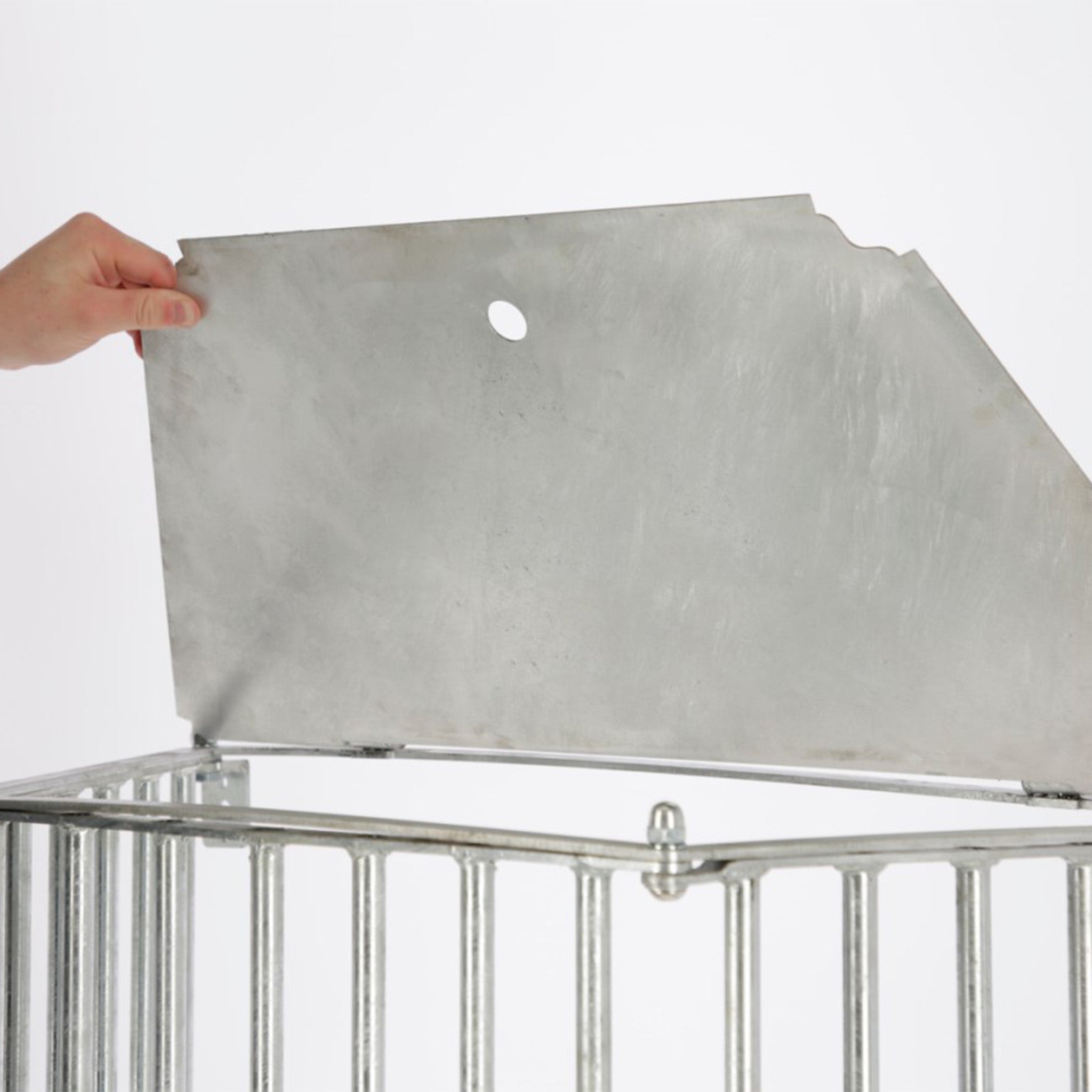 Wandraufe SlowFeed Plus