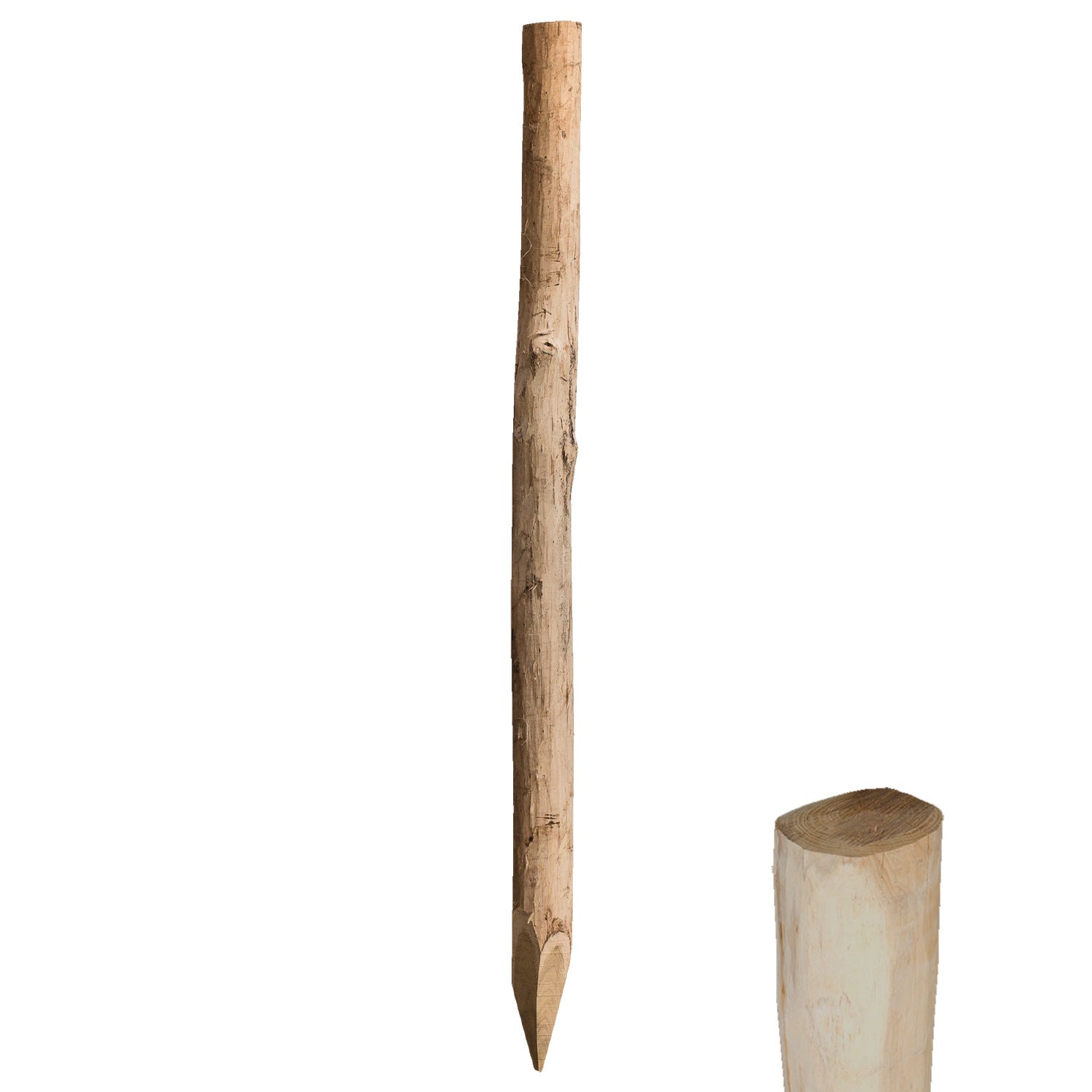 10-12cm Robinienpfahl rund 200cm