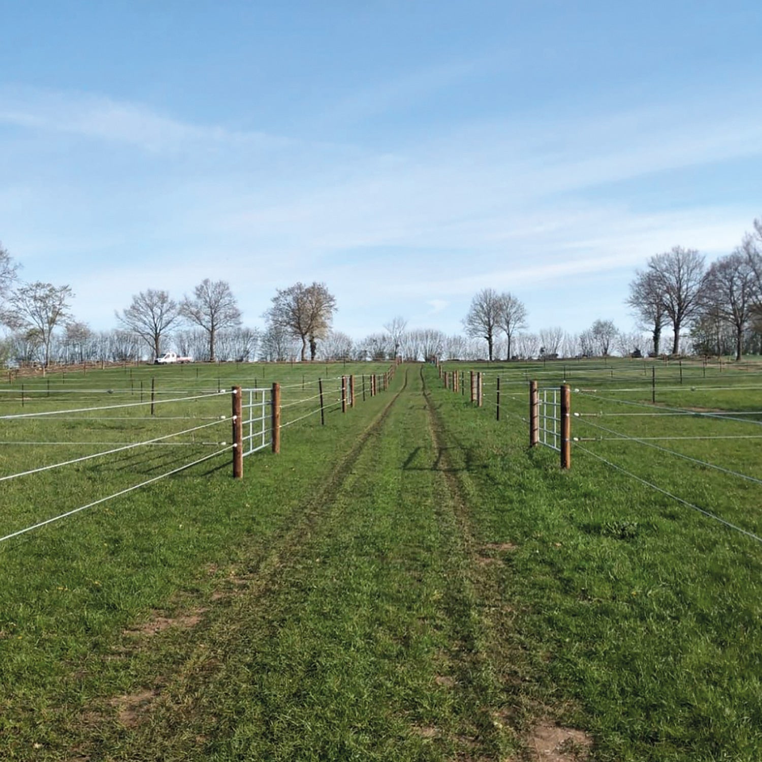 14cm Holzpfahl Kiefer KDI Salz Braun Eck-u.Torpfosten