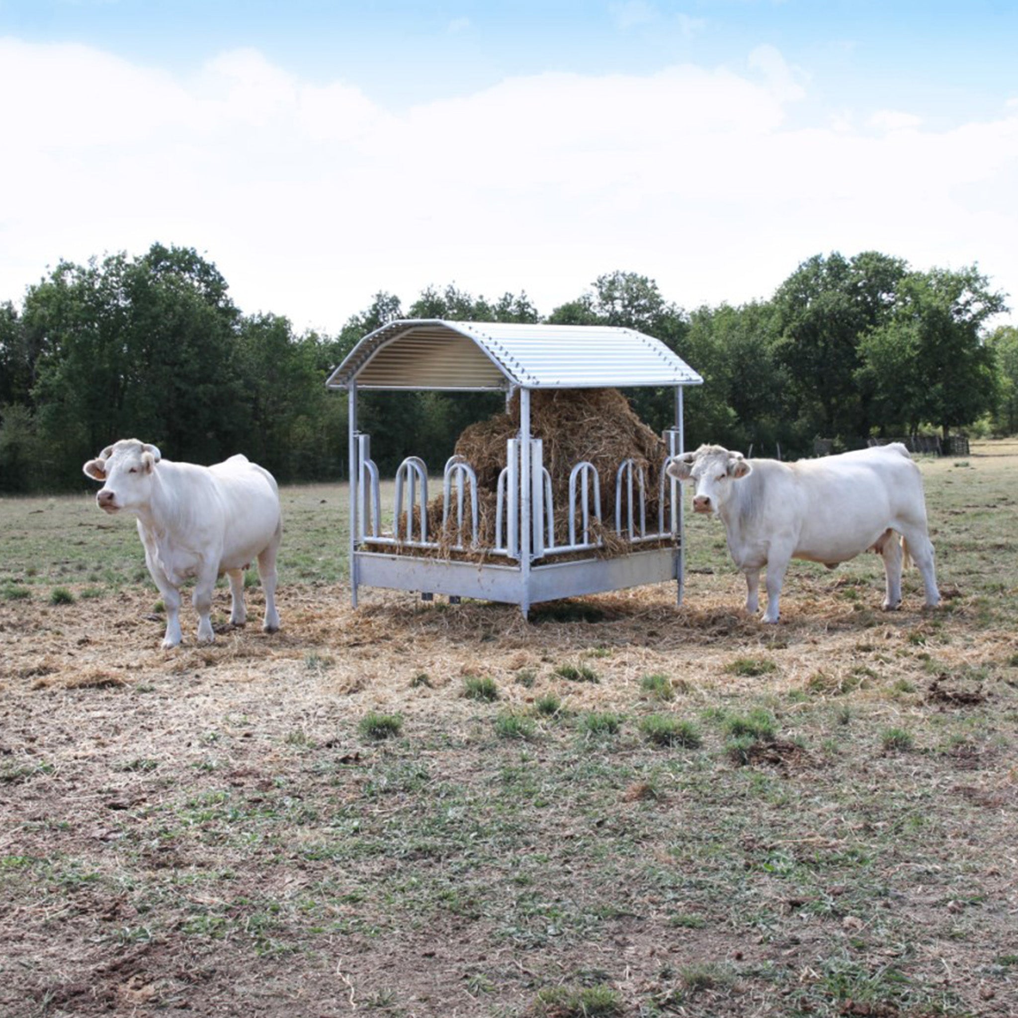 Palisadenfutterraufe 2x2m