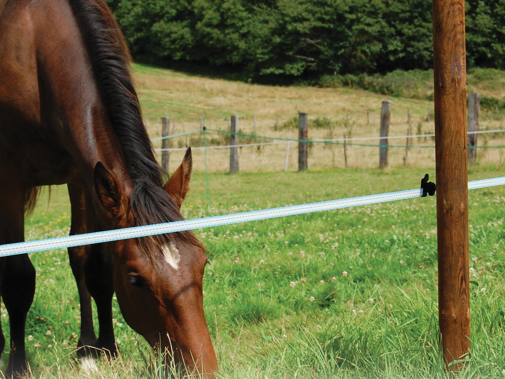 Maxi Line 40mm Breitband 200m