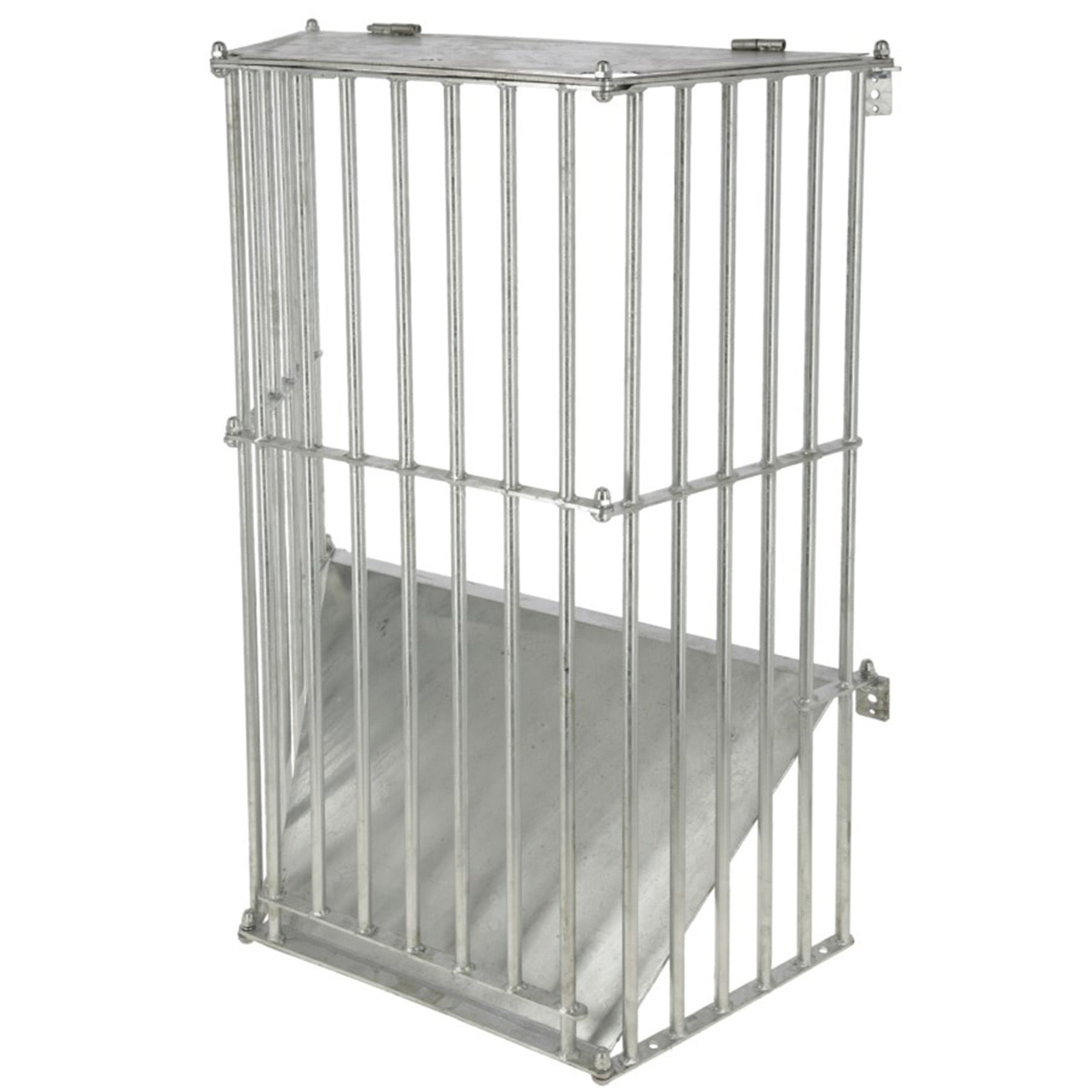 Wandraufe SlowFeed Plus