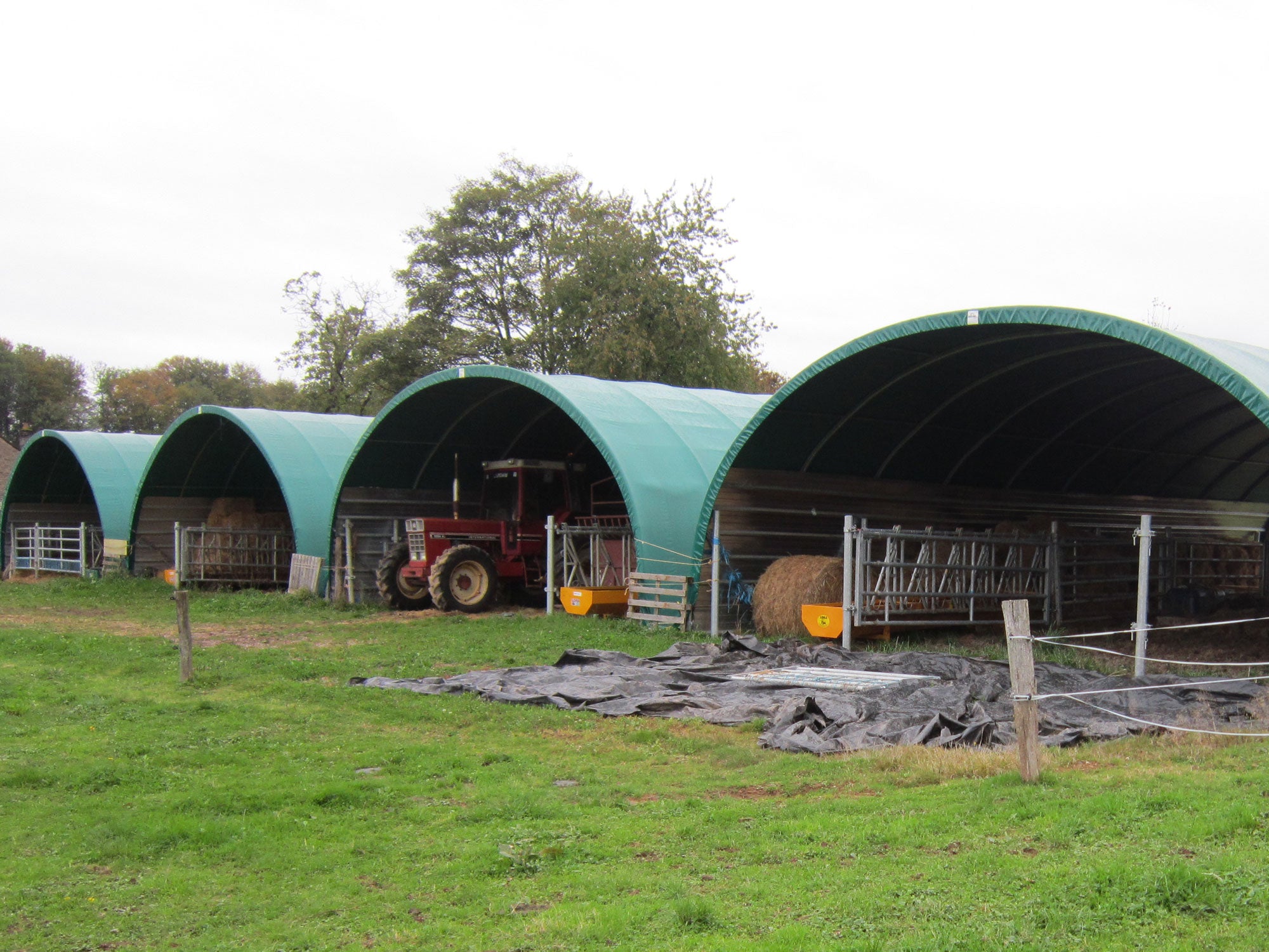 Shelterall Zelthalle 10x10x5m