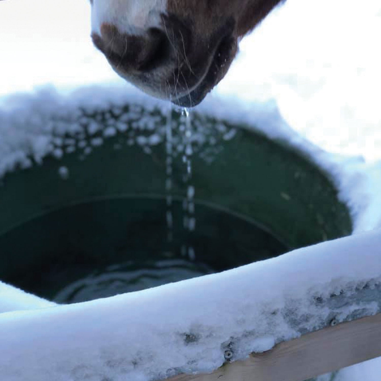 ThermoBar Tränke 80L