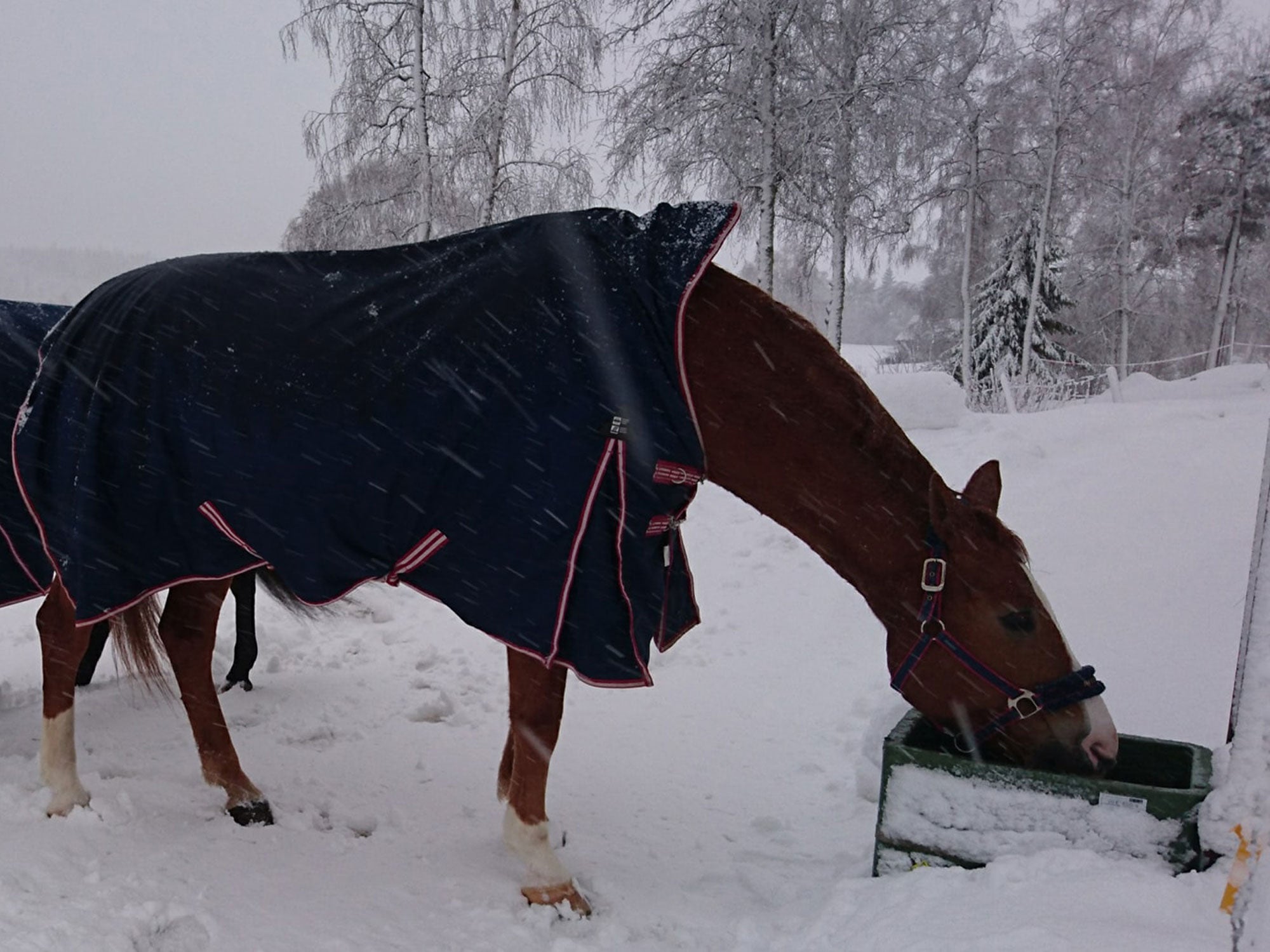 ThermoBar Eco Tränke 140L