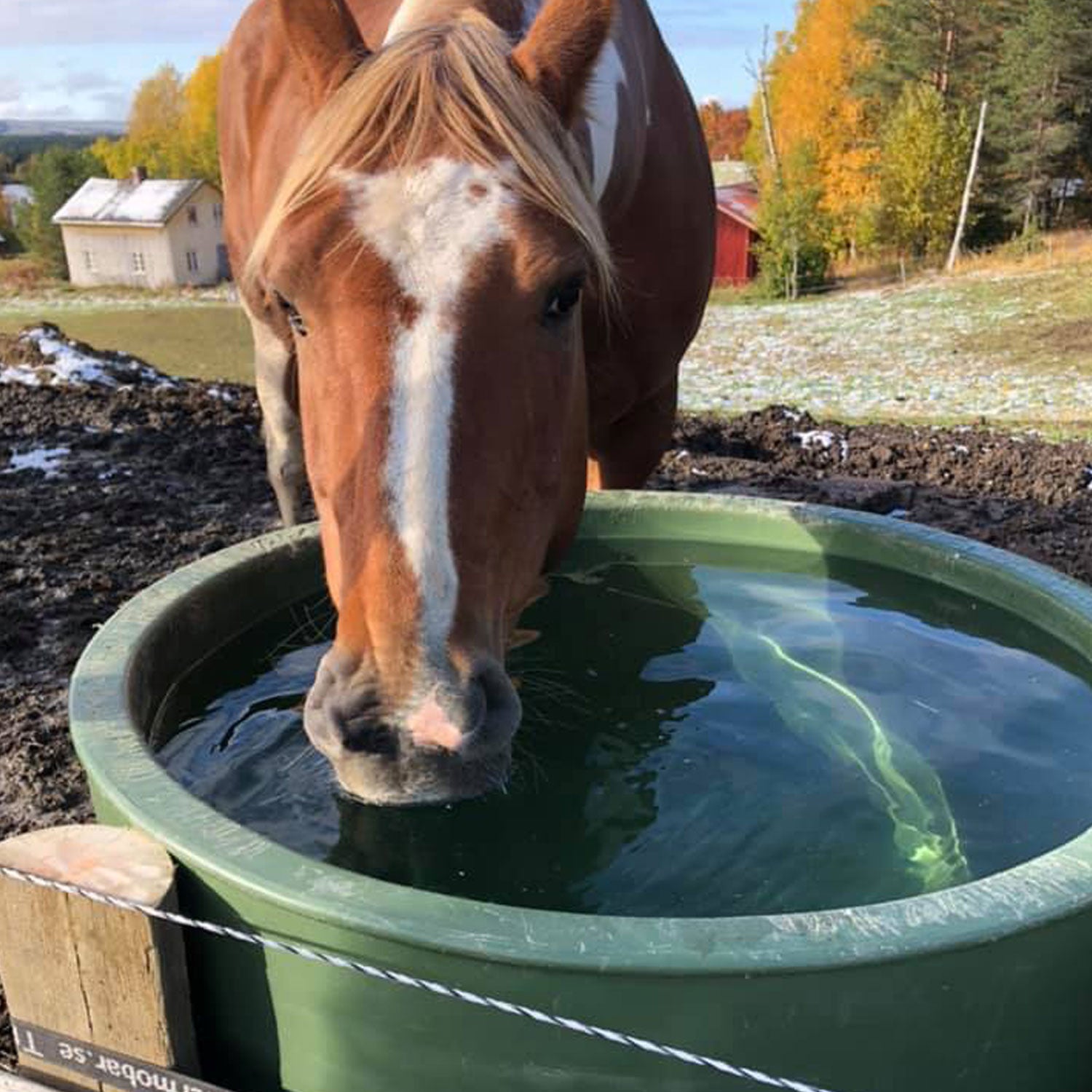 ThermoBar Tränke 250L