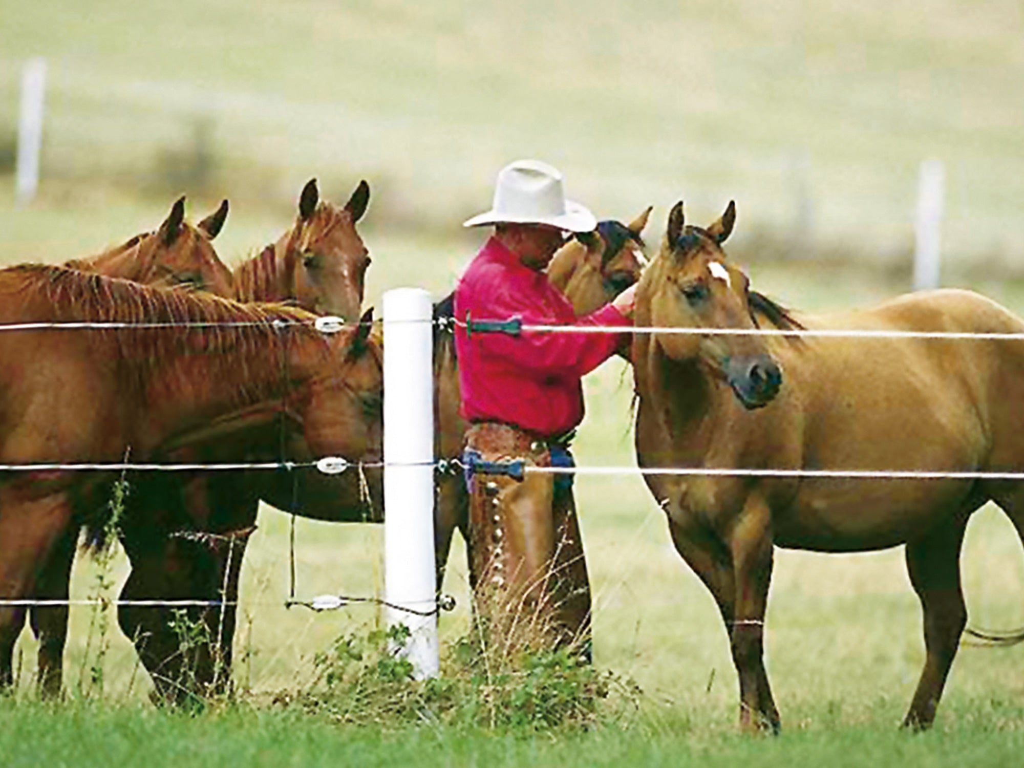 UniPost Zaunpfahl 180cm braun