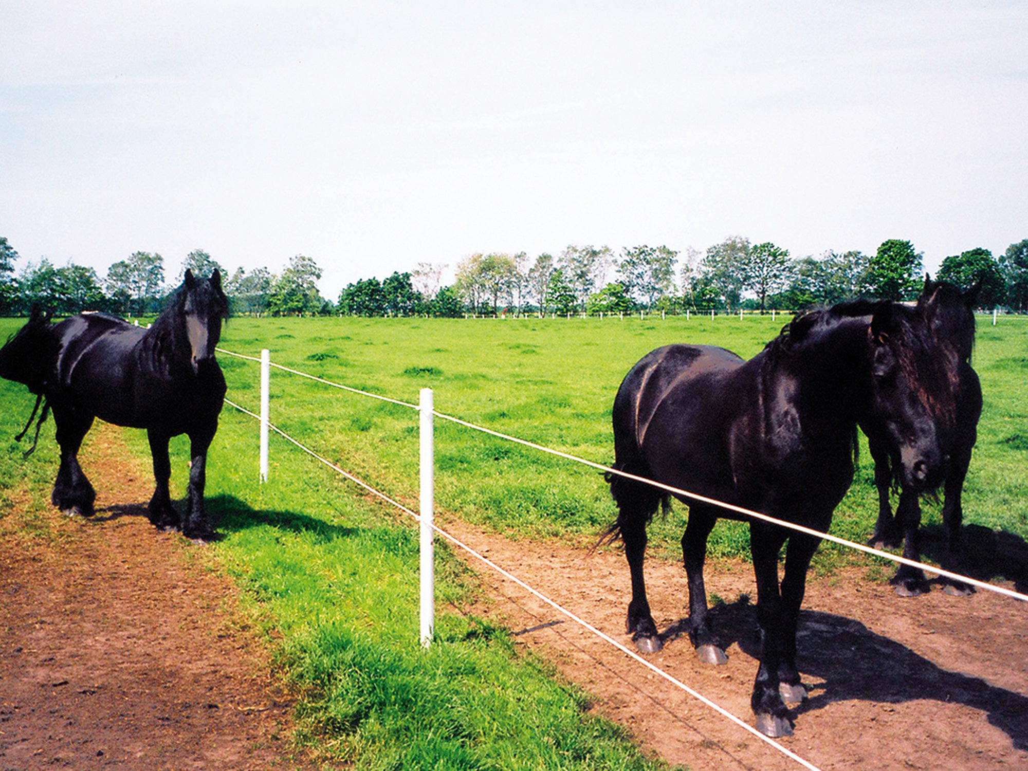 UniPost Spezial-Drahtende Isolator